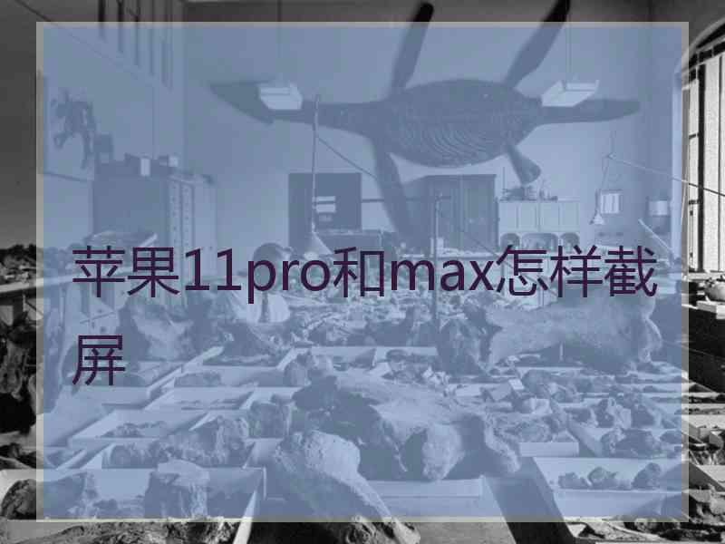 苹果11pro和max怎样截屏