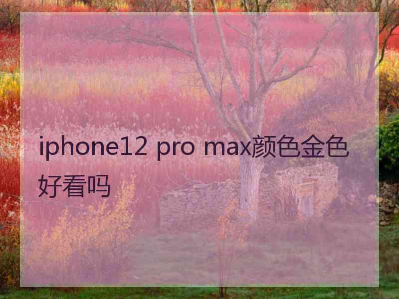 iphone12 pro max颜色金色好看吗