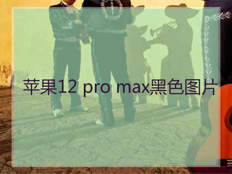 苹果12 pro max黑色图片