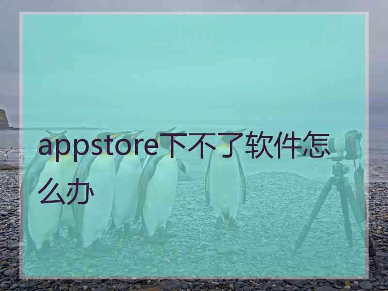 appstore下不了软件怎么办