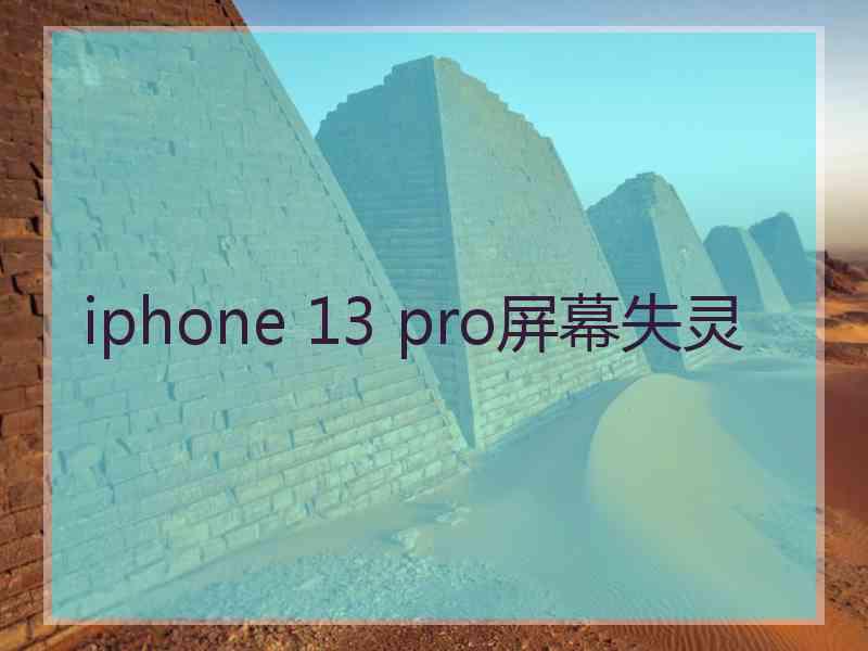 iphone 13 pro屏幕失灵