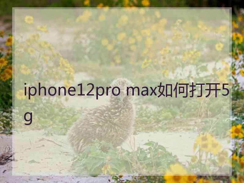 iphone12pro max如何打开5g