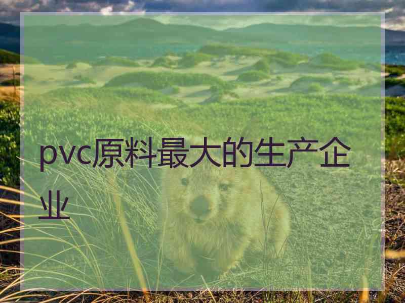 pvc原料最大的生产企业