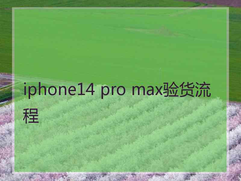 iphone14 pro max验货流程