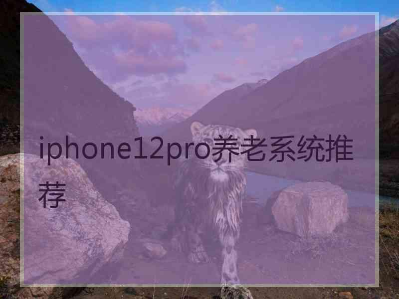 iphone12pro养老系统推荐