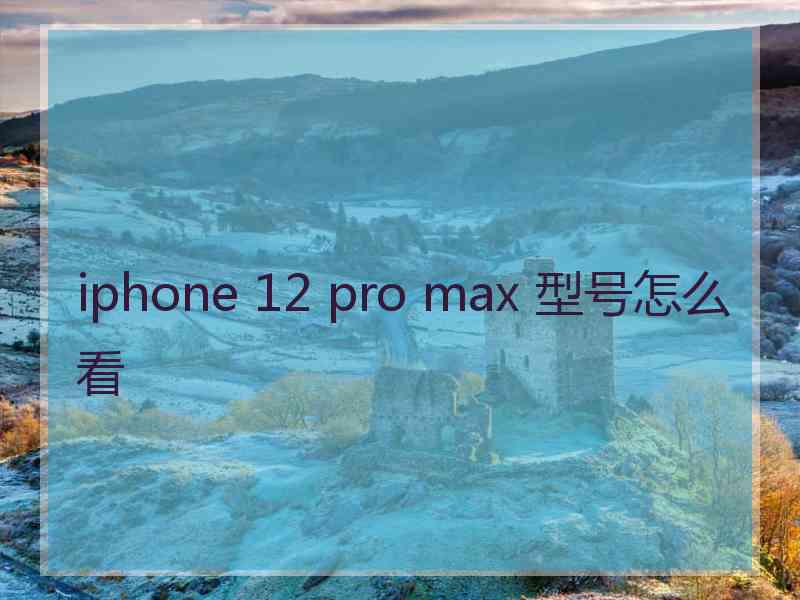 iphone 12 pro max 型号怎么看