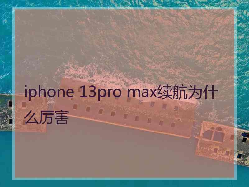 iphone 13pro max续航为什么厉害