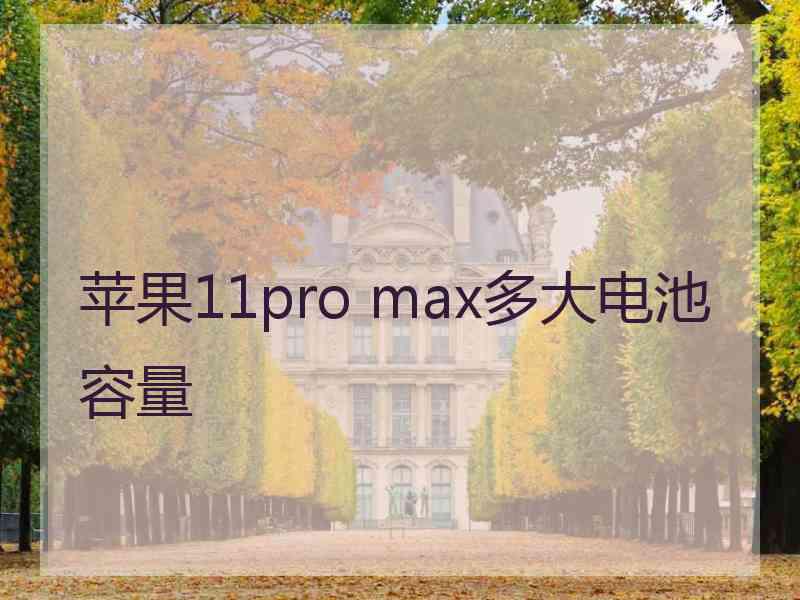 苹果11pro max多大电池容量