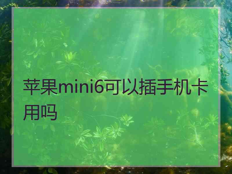 苹果mini6可以插手机卡用吗