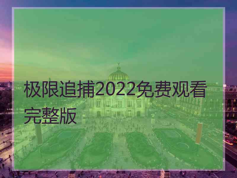 极限追捕2022免费观看完整版