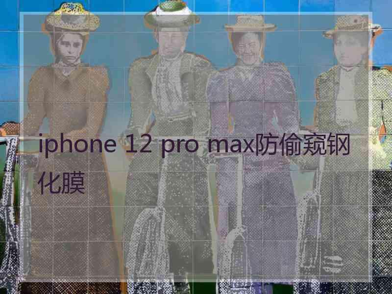 iphone 12 pro max防偷窥钢化膜