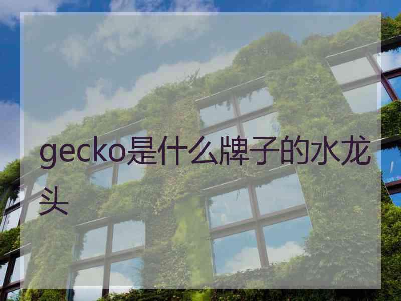 gecko是什么牌子的水龙头