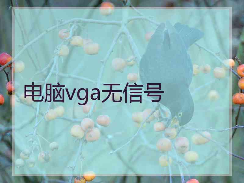 电脑vga无信号