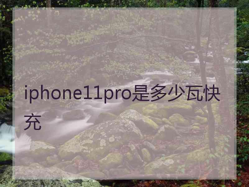 iphone11pro是多少瓦快充