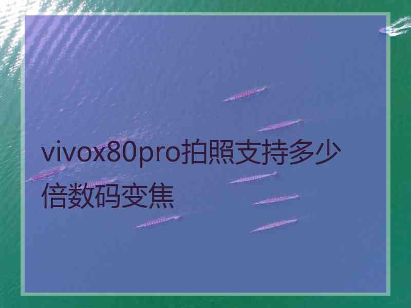 vivox80pro拍照支持多少倍数码变焦