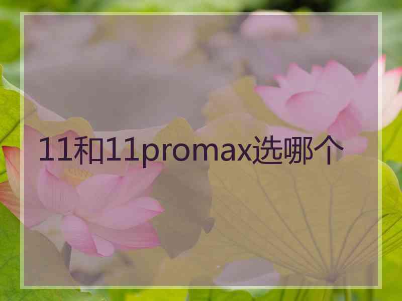 11和11promax选哪个