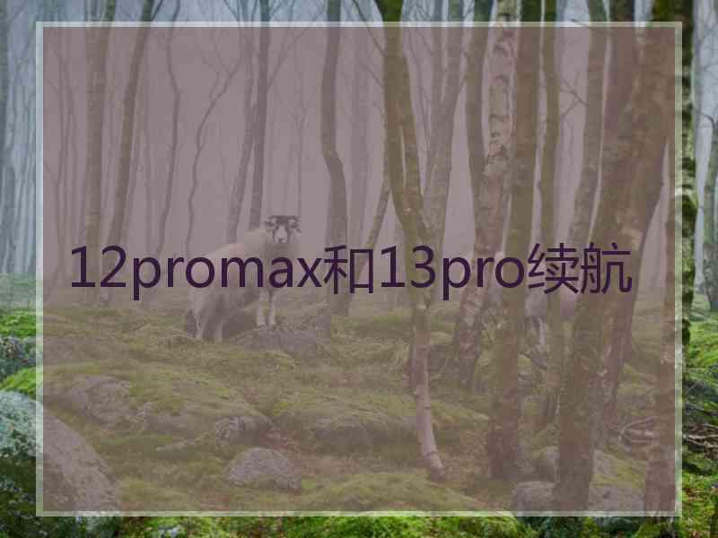 12promax和13pro续航