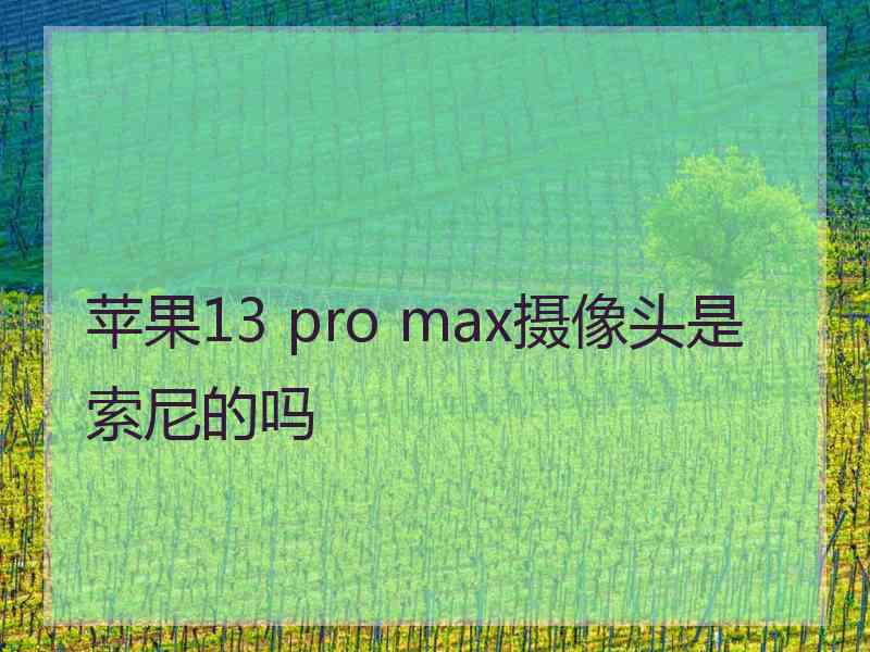 苹果13 pro max摄像头是索尼的吗