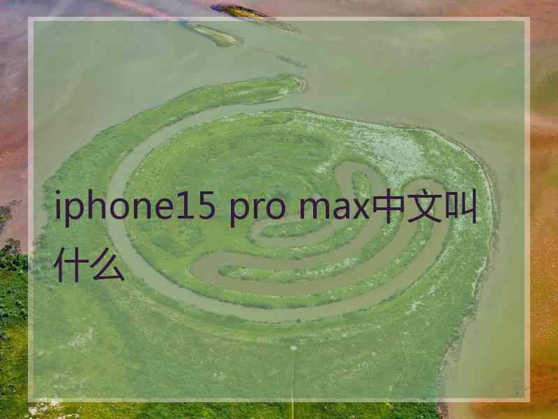 iphone15 pro max中文叫什么