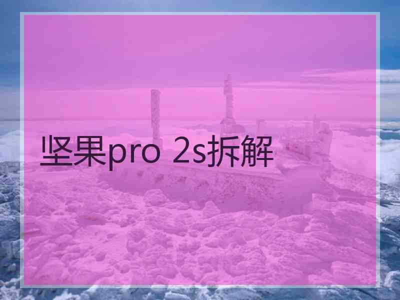 坚果pro 2s拆解