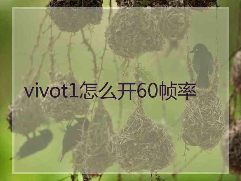 vivot1怎么开60帧率