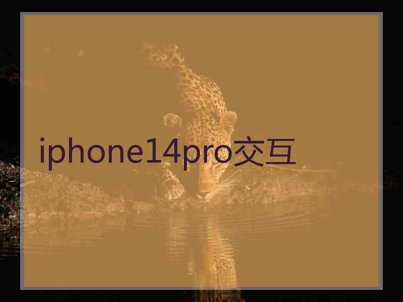 iphone14pro交互