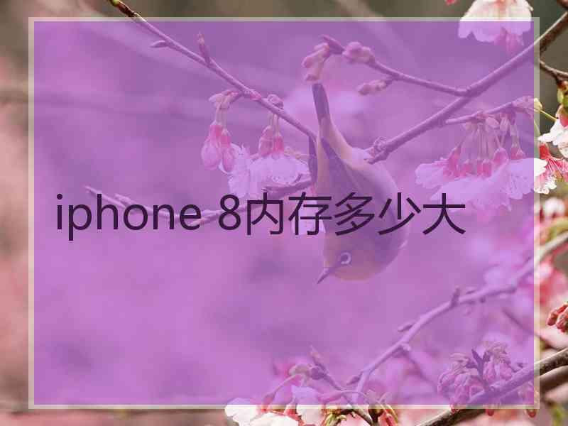 iphone 8内存多少大