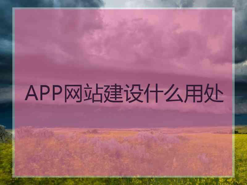 APP网站建设什么用处