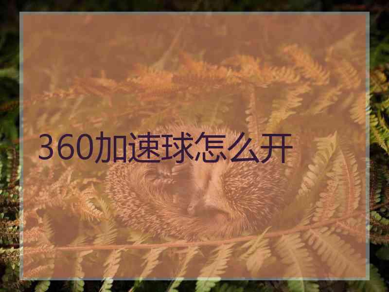 360加速球怎么开