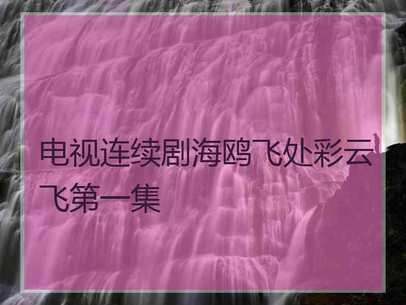 电视连续剧海鸥飞处彩云飞第一集