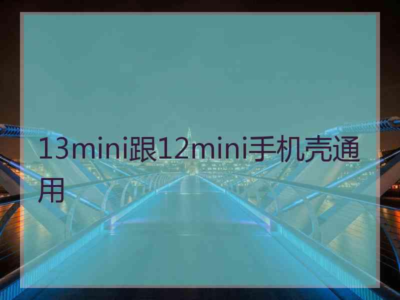 13mini跟12mini手机壳通用