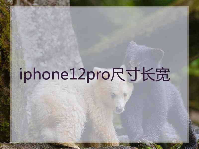 iphone12pro尺寸长宽