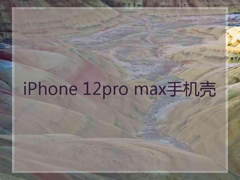 iPhone 12pro max手机壳