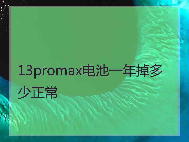 13promax电池一年掉多少正常