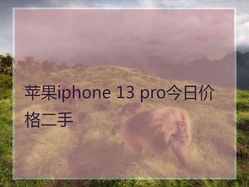 苹果iphone 13 pro今日价格二手