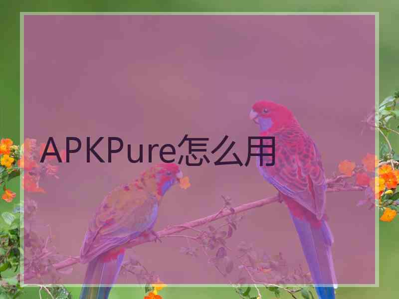 APKPure怎么用