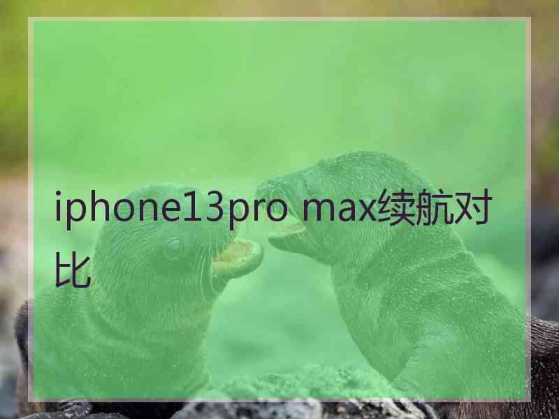 iphone13pro max续航对比