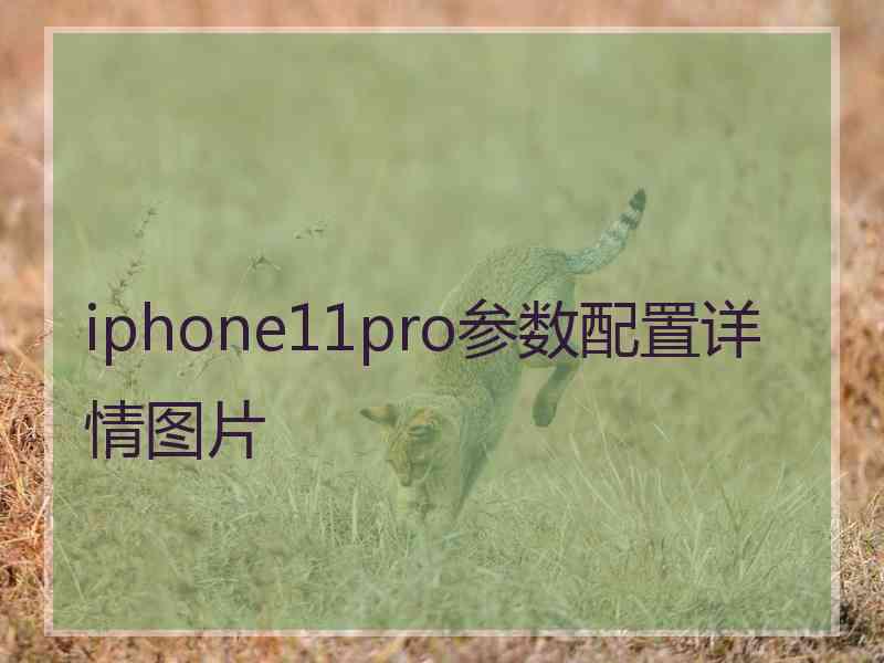 iphone11pro参数配置详情图片