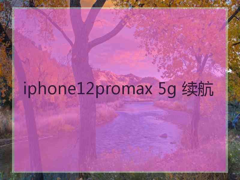 iphone12promax 5g 续航