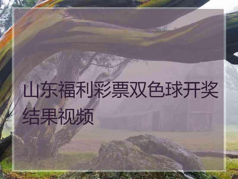 山东福利彩票双色球开奖结果视频