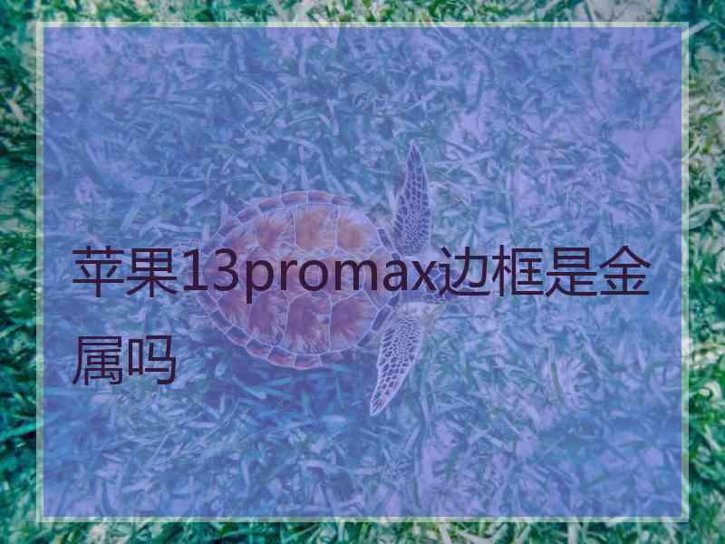 苹果13promax边框是金属吗