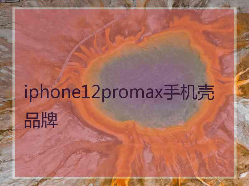 iphone12promax手机壳品牌