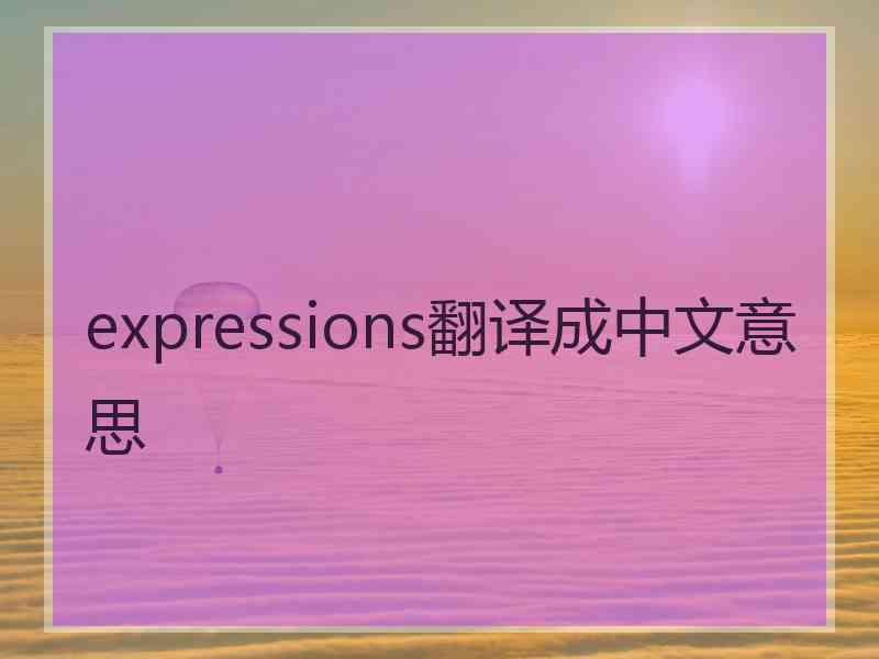 expressions翻译成中文意思