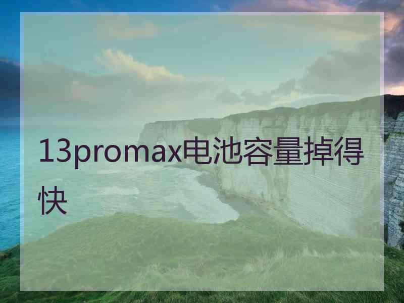 13promax电池容量掉得快