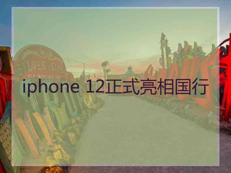 iphone 12正式亮相国行