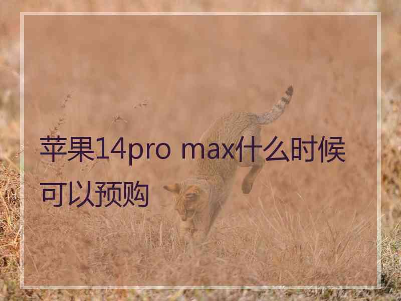 苹果14pro max什么时候可以预购