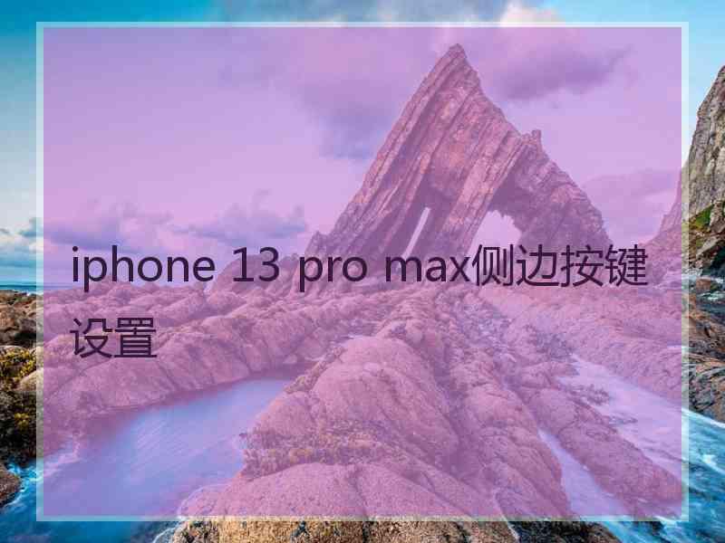 iphone 13 pro max侧边按键设置