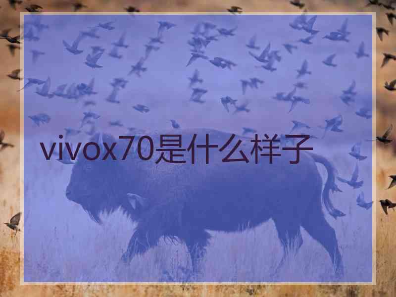 vivox70是什么样子