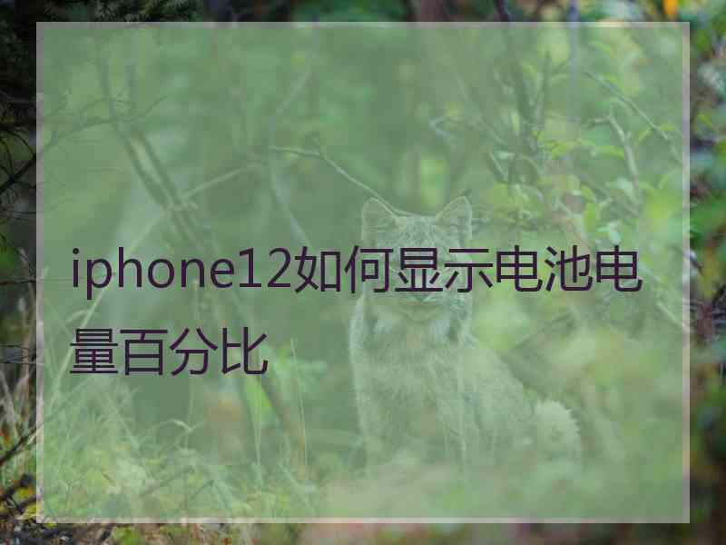 iphone12如何显示电池电量百分比