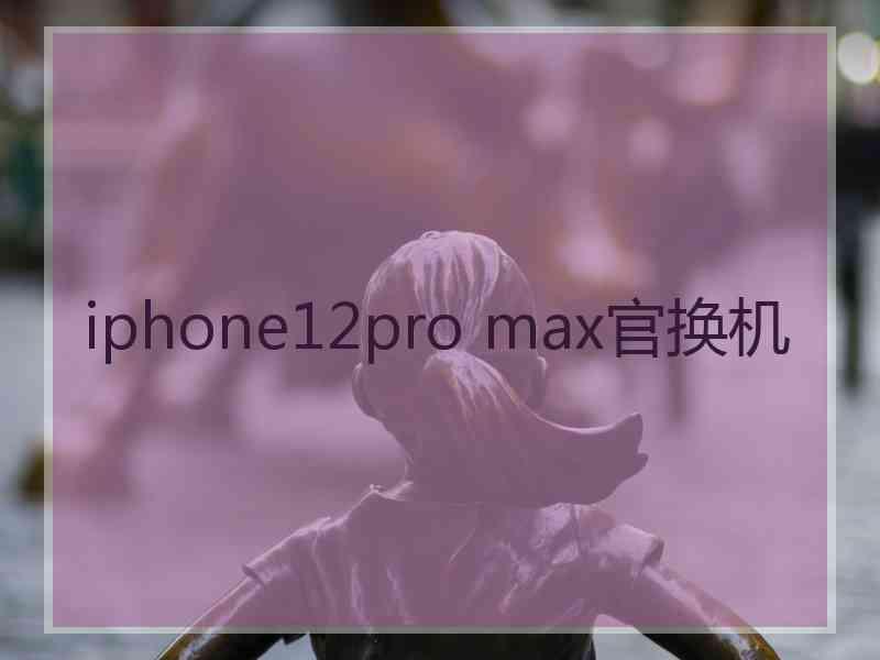 iphone12pro max官换机